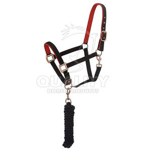 Venta al por mayor caballo Halter correas ecuestre engranaje Halter venta directa de fábrica Halter en precio bajo - Product Image 1