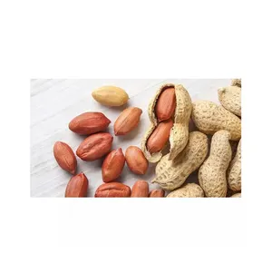 Amendoim cru de origem pura 100% orgânico, amendoim moído em negrito, compre a preço acessível