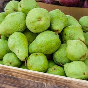 Pêres fraîches de haute qualité, sucrées et juteuses, pêres de conférence riches en fibres, vente en gros, expédition mondiale en chaîne du froid - Product Image 5