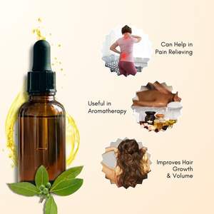 Huile Essentielle de Baies de Laurier 100% Pure Distillée à la Vapeur Certifiée BPF 30ml – Vente en Gros pour la Revitalisation Cutanée et la Réduction des Pores - Product Image 2