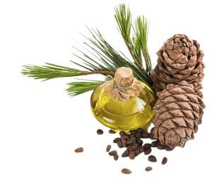 น้ำมัน Atlas cedarwood 100% น้ำมันบริสุทธิ์ - Product Image 2