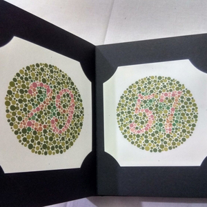 SS ייצור מבחן Ishihara עבור עיוורון צבעים 38,14,24 צלחת רפואת עיניים חבילה של 3 ספרים עם ב אמיתי מחיר משלוח ספינה .. - Product Image 1