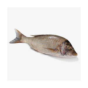 Filet de poisson empereur du principal fournisseur - Product Image 5