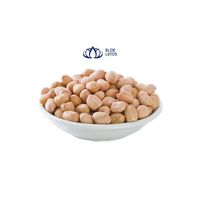 Exportation de graines d'arachides du Vietnam de haute qualité