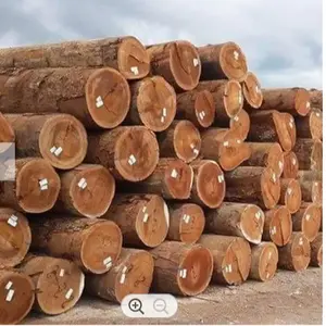 89000 톤 싼 목재 로그 티크 나무/오크 나무 로그/소나무 나무 로그