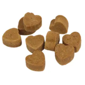 Custom Natural Pet Food Supplement Soft Chews Probiotics And Digestive Enzymes For Gut Health