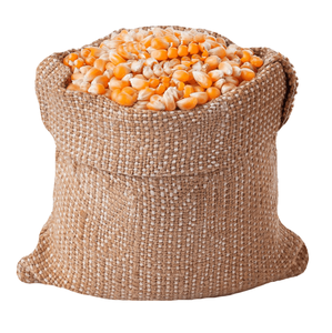 Vente en gros de maïs jaune/maïs jaune pour la consommation humaine maïs jaune non OGM/maïs jaune - Product Image 4