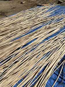 Caña de ratán de la mejor calidad, de VIETNAM - Product Image 2