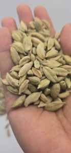 Finca tanzana de Grado Superior-Producto agrícola seco crudo de cardamomo cultivado - Product Image 3