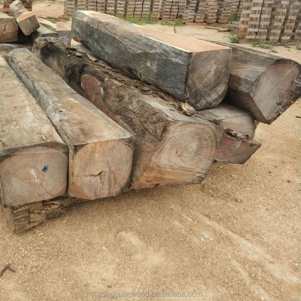 PINE SPRUCE BIRCH OAK ASH LOGS/TIMBER und Eukalyptus holz Holzstämme