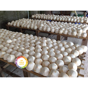 SAVEUR DOUCE NATUREL DE NOIX DE COCO FRAIS DE HAUTE QUALITÉ Offre Spéciale DU VIETNAM À PRIX CONCURRENTIEL - Product Image 1