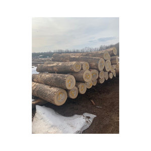 Direct Supplier of Wholesale <b>Oak</b> Timber <b>LOGS</b> Mangroove Hard Wood Firewood for Energy Round <b>Oak</b> Wood <b>Logs</b> at Competitive Price - Product Image 2