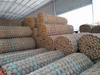 Tapis en fibre de coco naturelle de haute qualité, fabriqué à partir de fibres de noix de coco, pour des sols écologiques et des applications extérieures
