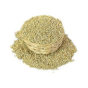 Millet vert et jaune à vendre, millet rouge et marron/noir de haute qualité, millet blanc/vert - Product Image 1