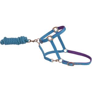 Licol pour chevaux réglable, en nylon résistant, rembourrage en néoprène anti-frottement, couronne et nez entièrement rembourrés, pour tous les chevaux de toutes tailles - Product Image 2