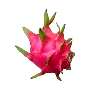 ผลไม้มังกร-"อัญมณีส่องแสง" ของผลไม้เมืองร้อน - Product Image 3