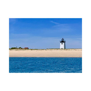 Los precios competitivos disponibles para la venta a granel para todos sus proyectos Beech Log es perfecto para la elaboración de muebles de alta gama - Product Image 4