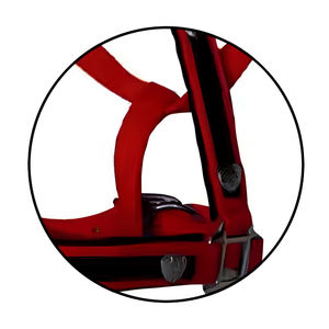 Brida inglesa de nailon artesanal de primera calidad, accesorios de entrenamiento occidentales cómodos y elegantes, cabestros diarios acolchados suaves ajustables - Product Image 4