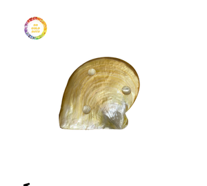 Haute qualité poli coquillage artisanat nacre assiette élégante salle à manger nacre assiette pour servir de la nourriture - Product Image 3