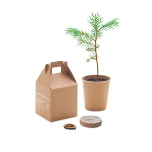 Kits d'outils promotionnels GROWTREE en bois de pin écologique avec des caractéristiques durables et naturelles - Product Image 5