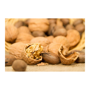 ขายส่งวอลนัท ราคาถูก จำนวนมาก เมล็ดวอลนัทสด ออร์แกนิค - Product Image 1