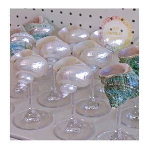 Copa de vino Turbo Shell a granel y Copa Burgess, vasos oceánicos hechos a mano para bares costeros y tiendas de regalos - Product Image 1