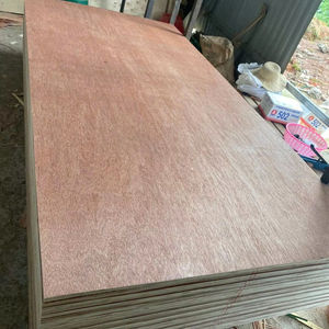 Contreplaqué Bintangor du Vietnam avec âme en eucalyptus pour usage intérieur - Product Image 1