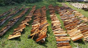 BÂTONS DE CANNELLE CASSIA DU VIETNAM | QUALITÉ SUPÉRIEURE, NATURELLE ET PURE | PRÊT À L'EXPORTATION | FOURNISSEUR EN VRAC - Product Image 6