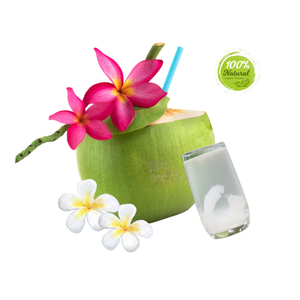 Noix de coco fraîche de qualité supérieure, de taille 12 à 15 cm, douce, jeune, semi-décortiquée, cultivée au Vietnam, mûre - Product Image 1