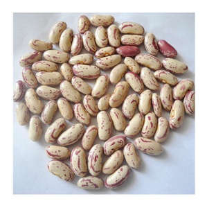 Venta al por mayor de frijoles rojos oscuros secos de forma alargada, frijoles rojos británicos para exportación. - Product Image 2