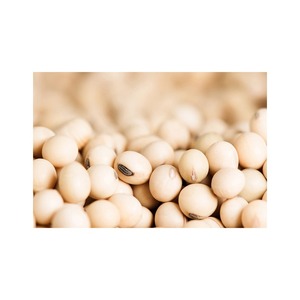 High Quality Organic Non-GMO <b>Soybeans</b> Sprouting and Food Grade Dried Soya Beans Yellow <b>Soybeans</b> in Bulk Packaging - Product Image 1