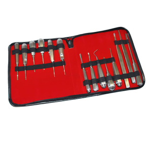 Kit de Instrumentos Quirúrgicos Dentales de Primera Calidad, 12 Piezas, Certificado CE Clase I, Herramientas Manuales de Acero Inoxidable, Estuche de Almacenamiento con Cierre - Product Image 2