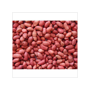 Wholesale Peanuts Organic Peanut Kernels Best Price Raw Peanuts - Product Image 3