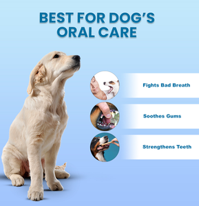 Enzymatic Toothpaste Specially Formulated <b>for</b> <b>Dogs</b> Customized Private Label with 3 <b>Brushes</b> Set with Tarter Control - Product Image 4