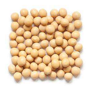 Vente en gros de soja frais de haute qualité prêt à expédier germination et soja jaune de qualité alimentaire disponible en vrac - Product Image 2