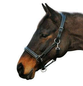 OEM venta al por mayor de cuero equitación brida para caballos hecho en fábrica brida para caballos - Product Image 2