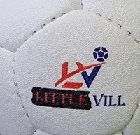 Ensemble de boules de boccia de haute qualité avec kit d'arbitre, cuir synthétique, 6 boules rouges, 6 boules bleues, 1 boule blanche, pagaie, logo personnalisé pour une utilisation en intérieur