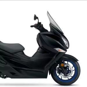 COMPRE AHORA MISMO DISPONIBLE Burgmannn 400 - Product Image 1