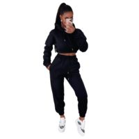 Conjunto Deportivo de 2 Piezas para Mujer, Sudadera Corta con Capucha, Estilo Informal, para Invierno, con Logotipo Personalizado, Ajuste Regular, Ropa de Gimnasio