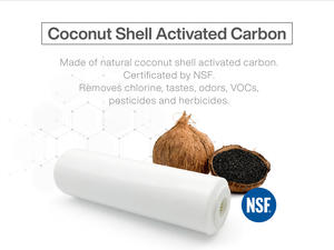 Cartucho de filtro LAN SHAN T33 CXVT3310 10 "Carbono para uso doméstico y comercial - Product Image 3