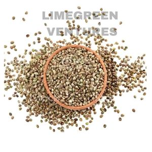 Graines de cœurs de chanvre décortiquées biologiques à double langue, exportation en gros depuis l'Inde, durée de conservation de 12 mois - Product Image 6