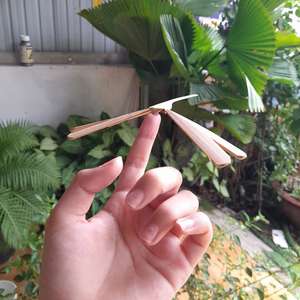 Libellule en bambou volante classique, 10 pièces, 12 pièces, 20 pièces, jouet pour enfants, 30 pièces, jouet hélice traditionnel ANGLE - Product Image 3