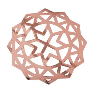 Assiette de Présentation Biodégradable en Métal pour Hôtels, Mariages et Événements – Décoration de Table, Service Alimentaire – Acier Inoxydable/Aluminium Cuivre - Product Image 6