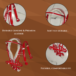 Brida de Cuero de Lujo para Caballo con Martingala |   Diseño Occidental |   Duradero y Cómodo |   Equipo Ecuestre Premium |   Conjunto de Equipo de Equitación - Product Image 4