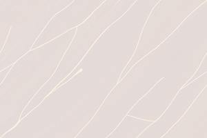 Orientbell Céramique 300X450 SBG Beige Streak Dusk Glossy Finish Carrelages pour Salle de Bain Cuisine Dosseret Toilette Mur Carrelages Sol - Product Image 3