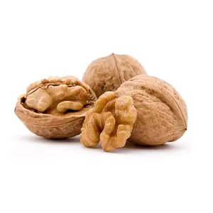 Nueces de núcleo peladas Núcleo de nuez de alta calidad Proveedor de Brasil Precio bajo Mitades ligeras Núcleos de nuez