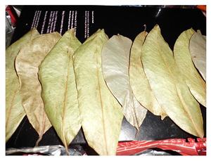 Feuilles de corossol naturelles - Feuilles de graviola de qualité supérieure pour l'exportation avec un prix compétitif sur le marché 2024 - Product Image 4