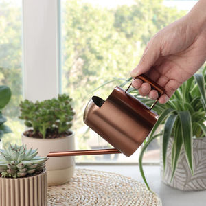 Regadera Metálica Comercial para Plantas de Vivero, Regadera de Hierro Resistente, Resistente a la Oxidación, Aspersor de Riego para Jardín Exterior - Product Image 2