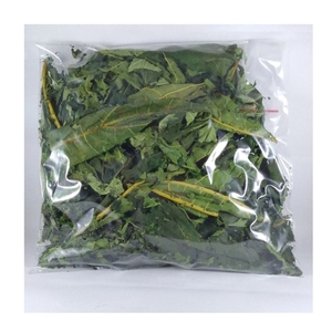 Hojas de Papaya Pura de Calidad Confiable para la Elaboración de Bebidas Botánicas y Material para Procesos de Teñido Natural, ARTÍCULO DE PRIMERA CALIDAD MÁS VENDIDO - Product Image 6