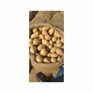 Frites surgelées biologiques frites de pommes de terre fraîches qualité vente en gros exportation vente en gros pommes de terre surgelées de qualité/frites surgelées/ - Product Image 1